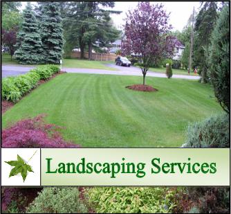 landscaping-services-hire